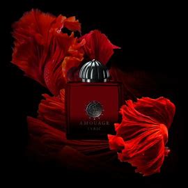Amouage lyric Woman EDP 100ml - Image 4