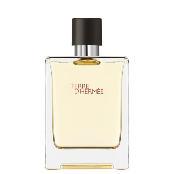 Hermes Terre D Hermes Edt 100ml